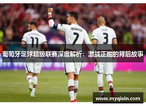 葡萄牙足球超级联赛深度解析：激战正酣的背后故事