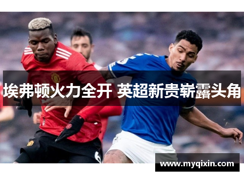 埃弗顿火力全开 英超新贵崭露头角